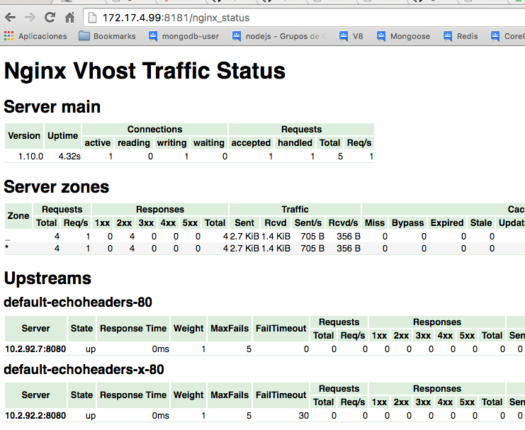 screenshot with custom configuration nginx-module-vts